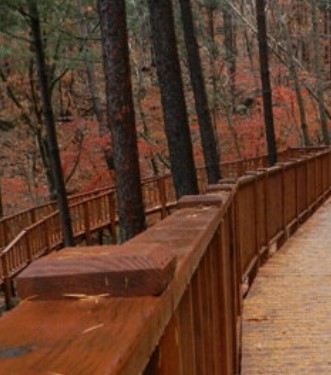 숲나들e 국립 산음 자연휴양림 국내 여행지 추천 관련사진