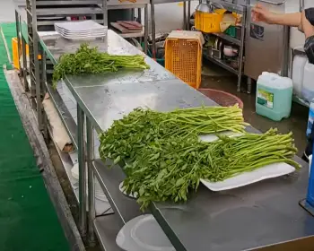 원동 미나리축제_8