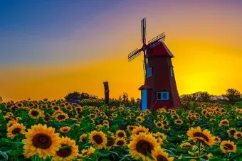 풍경 사진 잘 찍는 방법 꿀팁_19