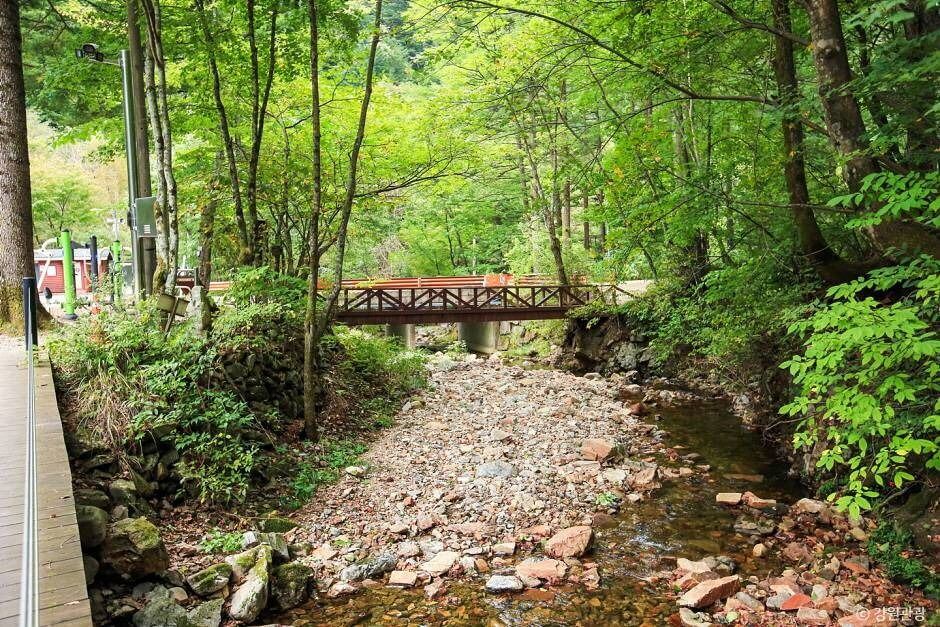 홍천 가볼만한곳 베스트 10