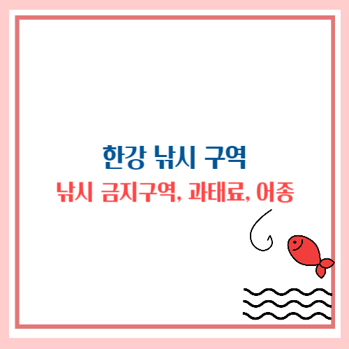 한강 낚시 구역