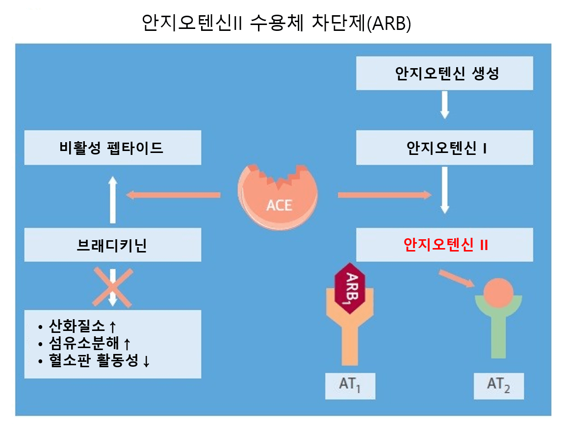 고혈압