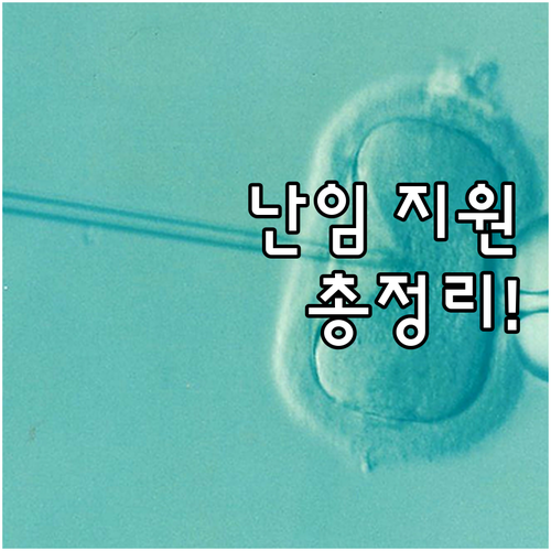 2025 여수시 난임 기초 검진비 지..