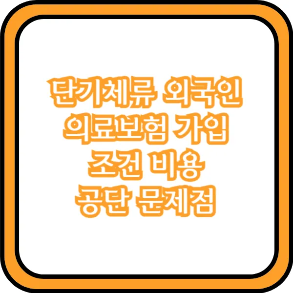 단기체류 외국인 의료보험