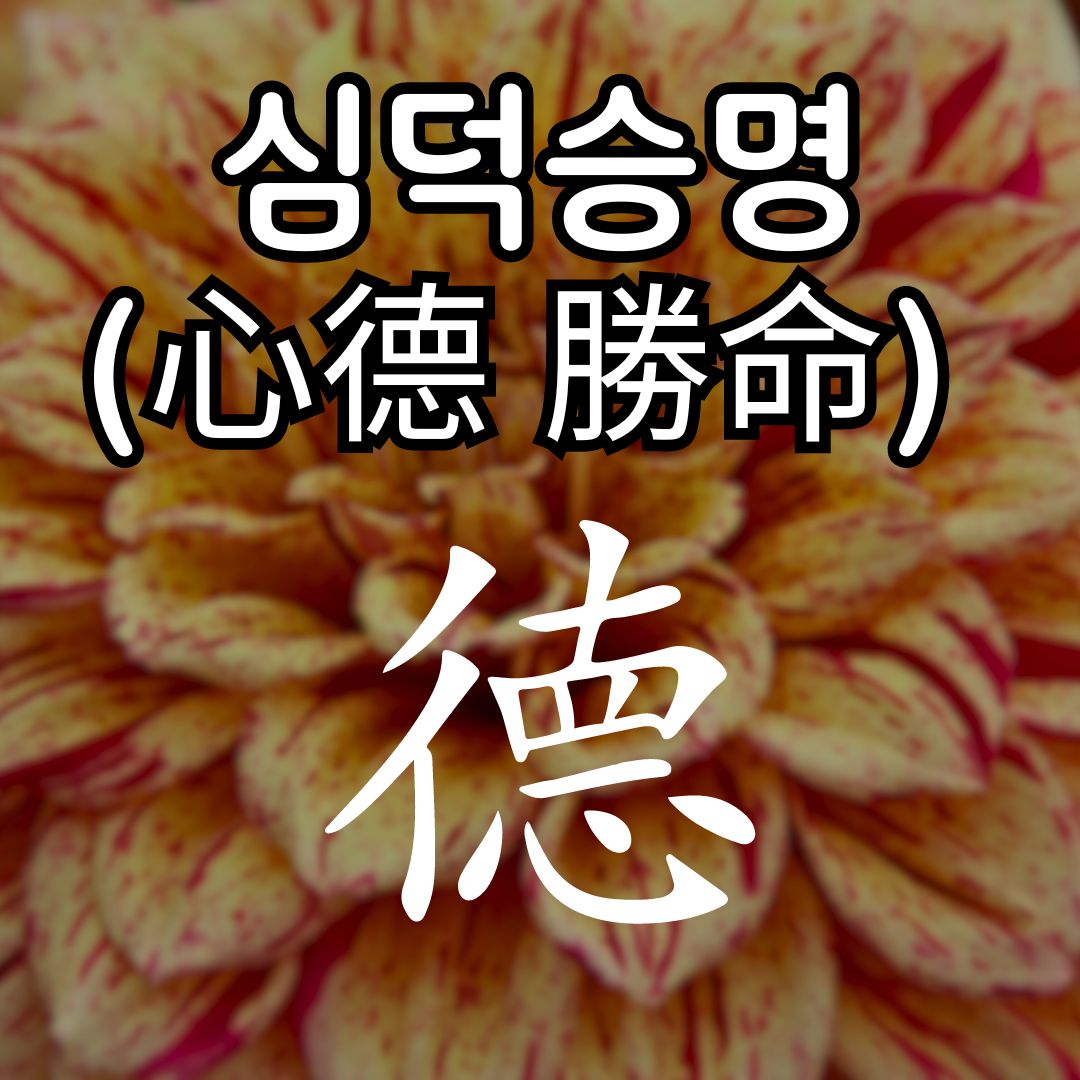 심덕승명