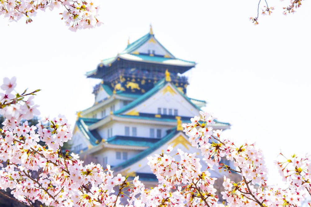 후쿠오카 벚꽃 명소