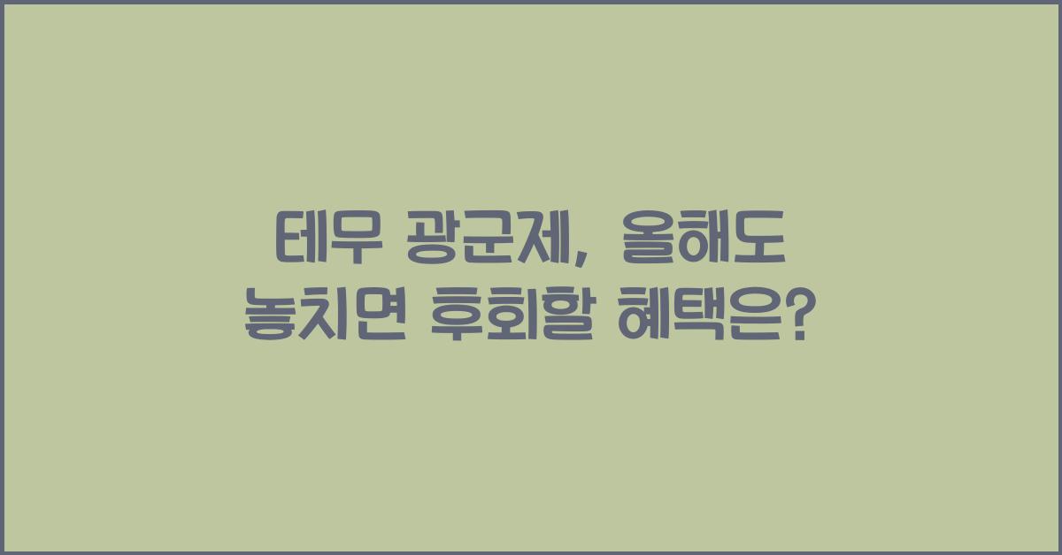 테무 광군제