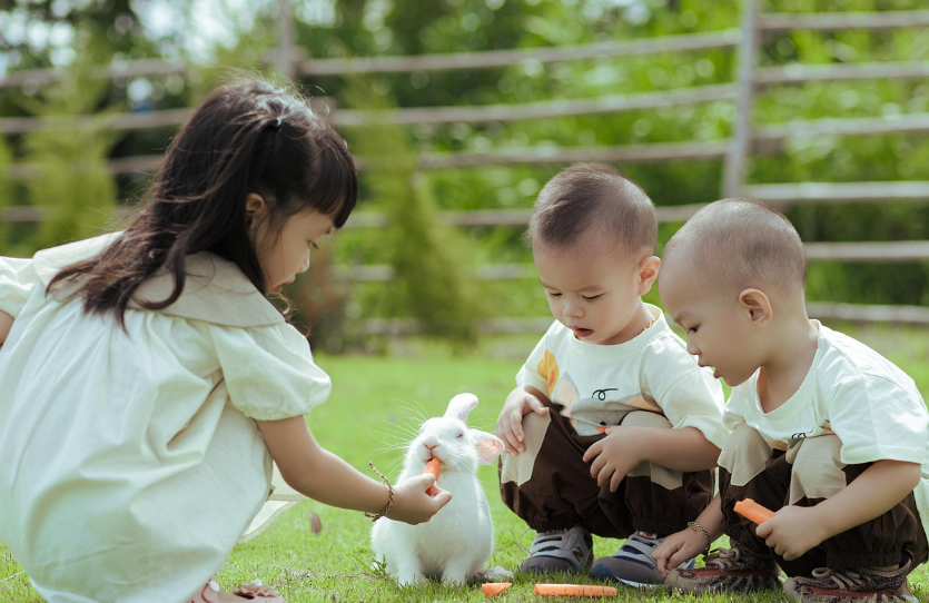 아이 회복탄력성 (감정수용, 실패경험, 문제해결)
