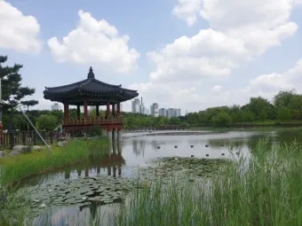 나는 빛나는 별처럼 느꼈습니다 한밭수목원 클레마티스 전시회 관람기_9