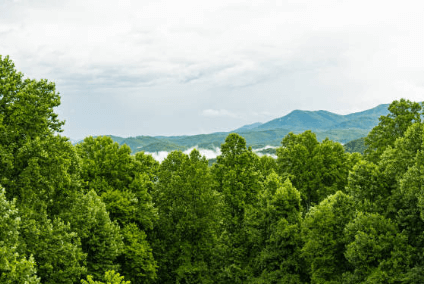 태백산 국립공원