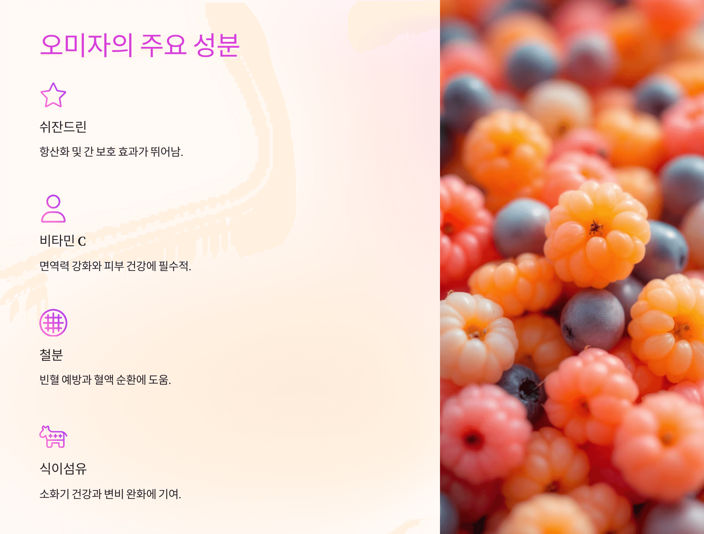 오미자 효능과 관련된 사진입니다.