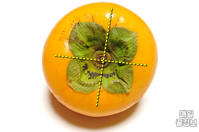 감 자르는법,감 씨빼기,팁줌