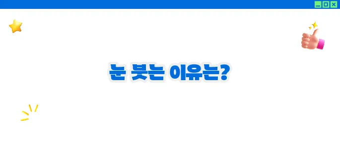 눈이 붓는 증상 원인과 대처법 (+자가진단)