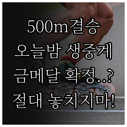 밀라노 코르티나 동계올림픽 스피드스케..