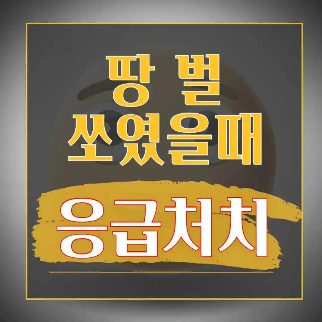 말벌에 쏘였을 때 응급 처치 치료제