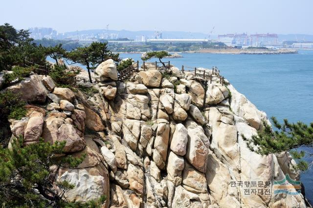 마성방초 (馬城芳草) 소바위산