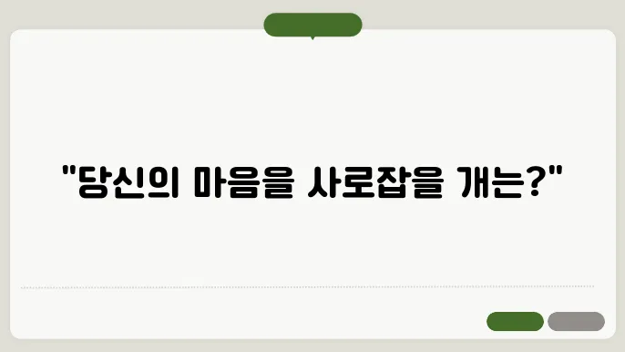 개 종류