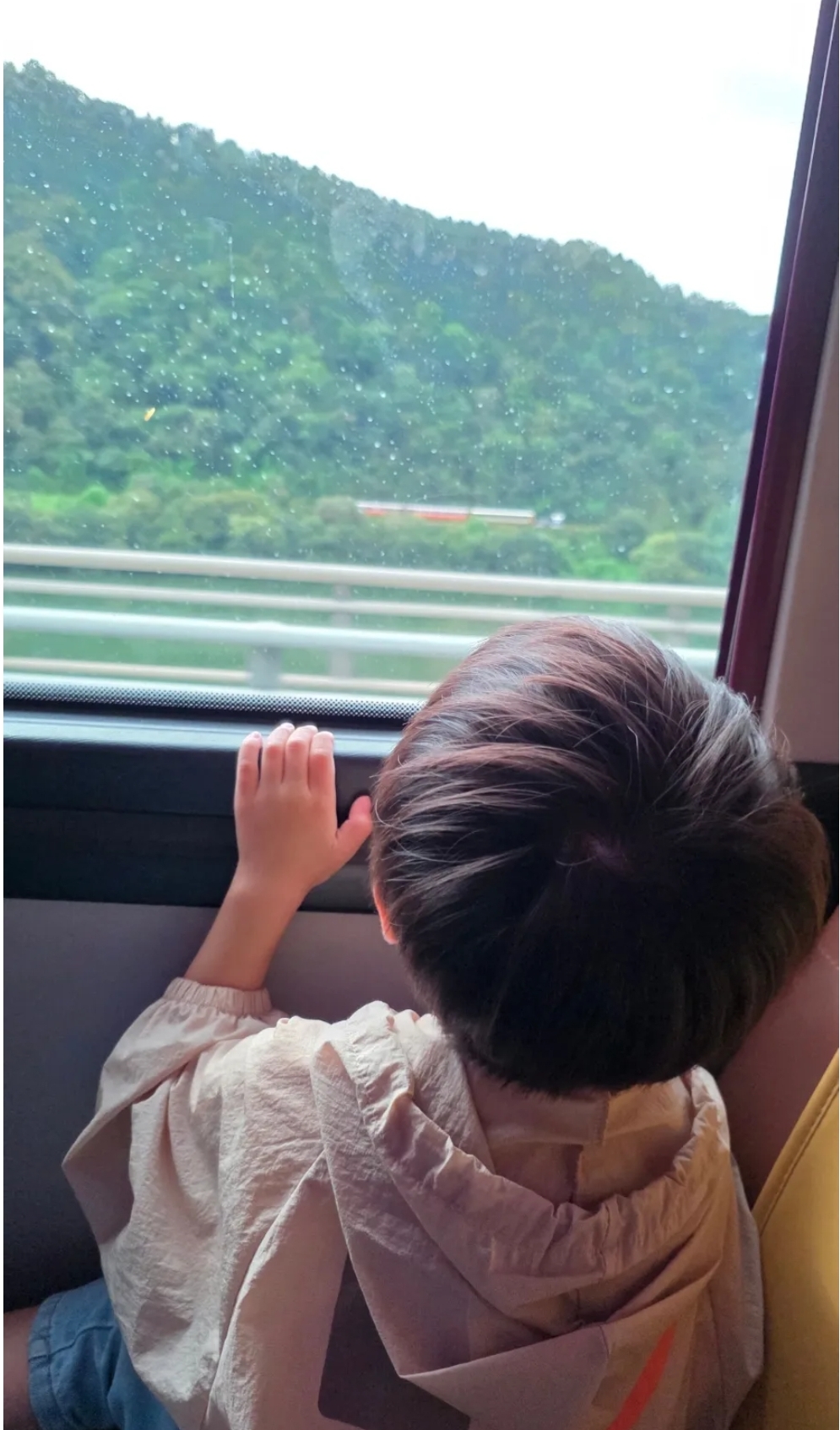 김유정레일바이크(강촌레일파크)