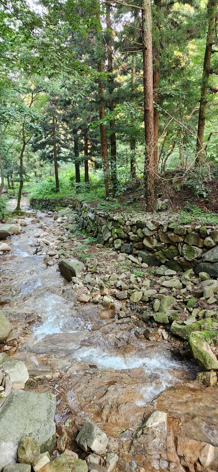 장성 치유의숲 계곡에서 세수하다. 