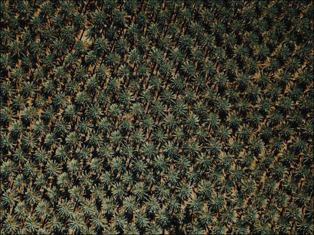 Capacity