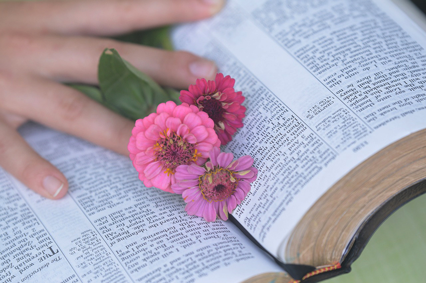 이사야 46장 4절