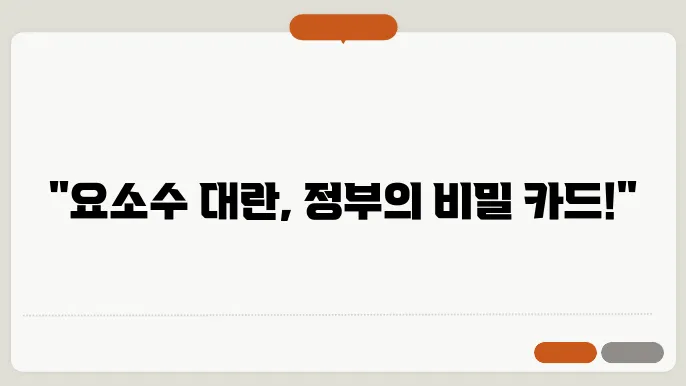 요소수 대란 대응 정부 대책