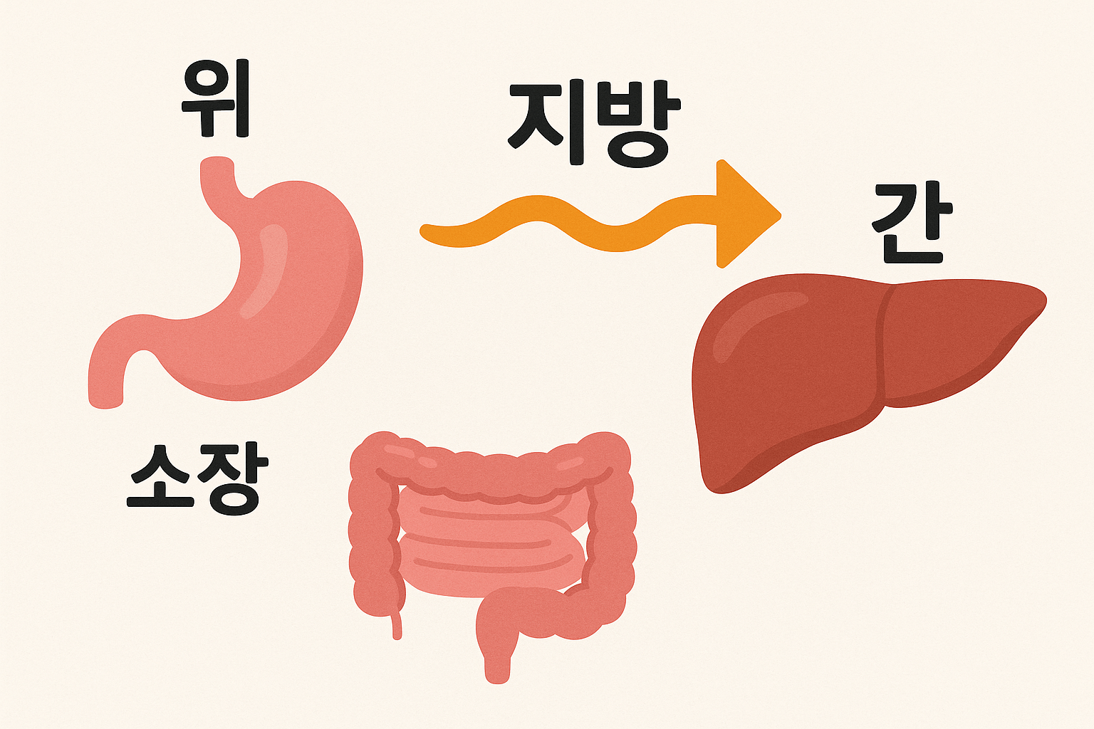 아포지단백 B