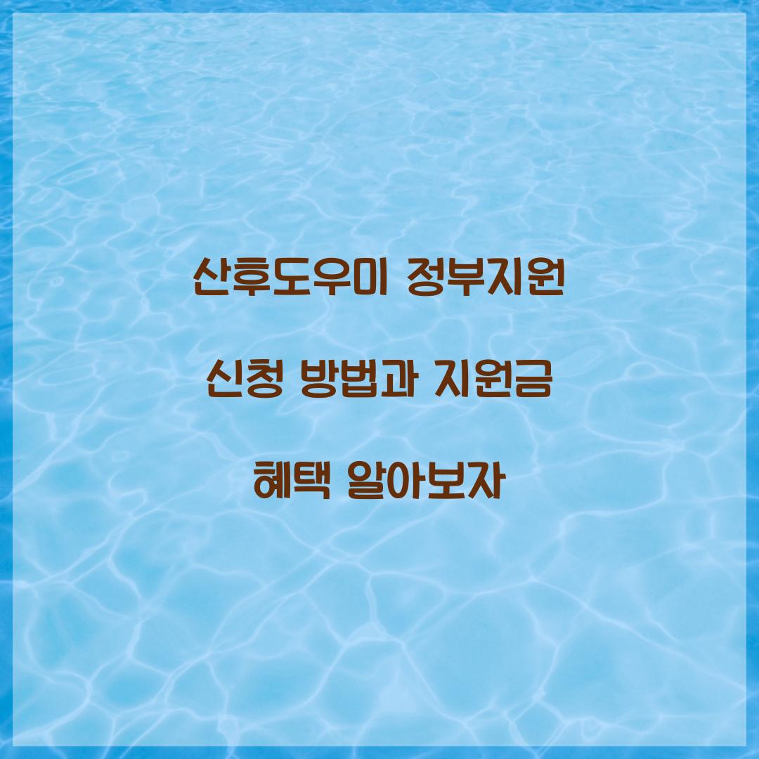 산후도우미 정부지원