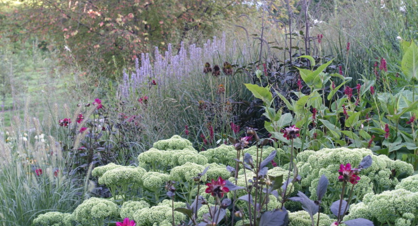 특색있고 아름다운 민간 정원 30선 추천 여행 - 12. 인제 찍박골 정원