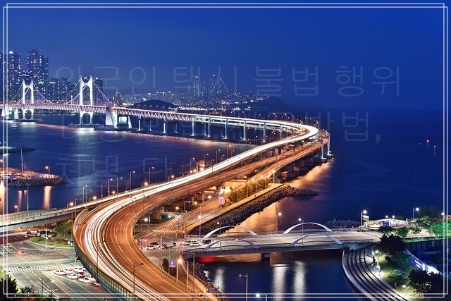 외국인 택시 불법 행위의 실태와 대응 방법, 신고방법, 처벌, 단속규정