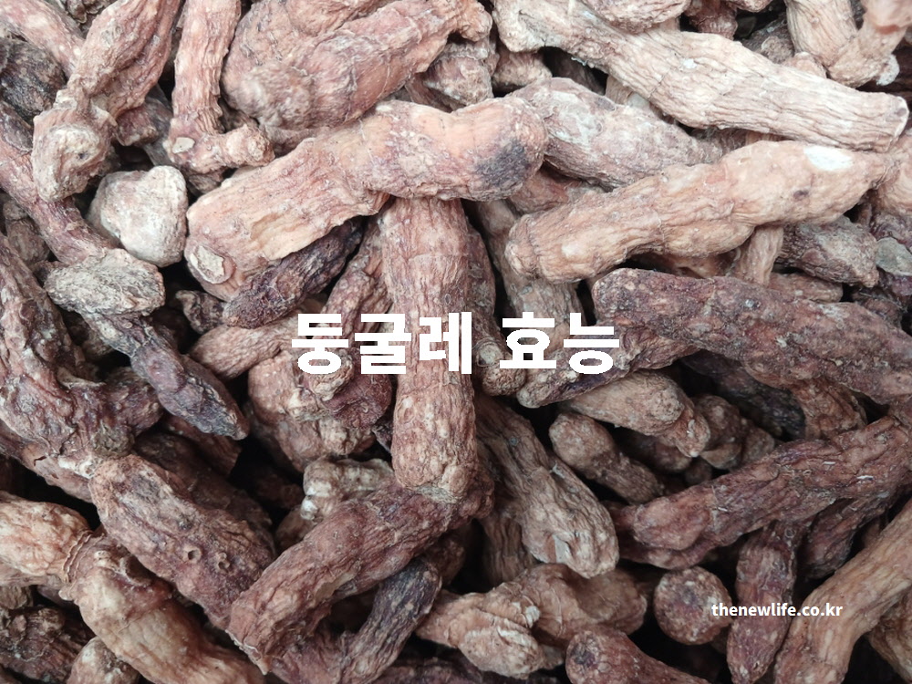 둥굴레 차 효과를 설명하는 대표 실사진