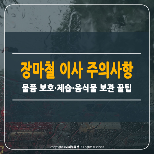 장마철 이사 주의사항 썸네일