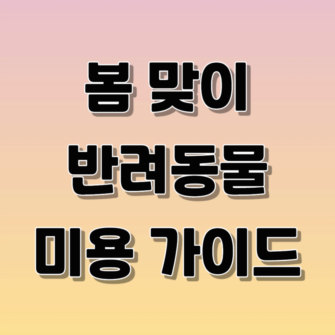 봄 맞이 반려동물 미용 가이드! 봄철 필수 관리법 100% 정리