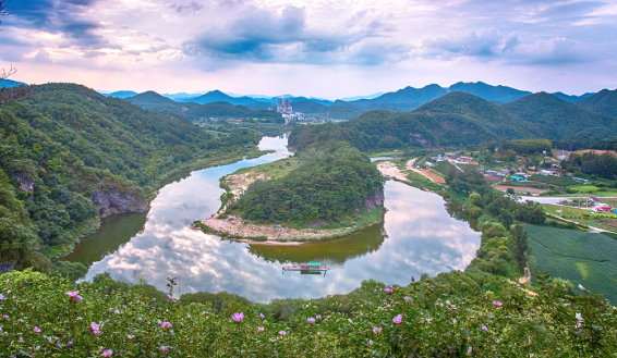 원동미나리축제