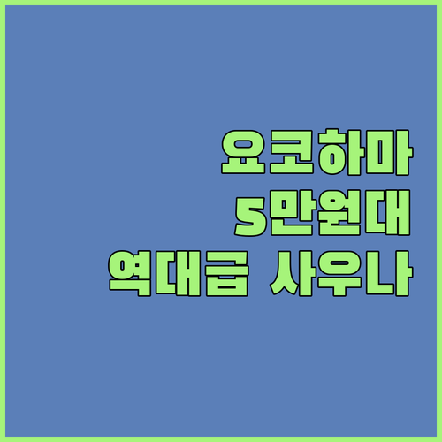 요코하마역 근처에서 1박 5만원대로 ..