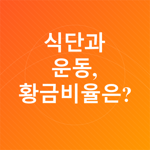 연말 다이어트_2