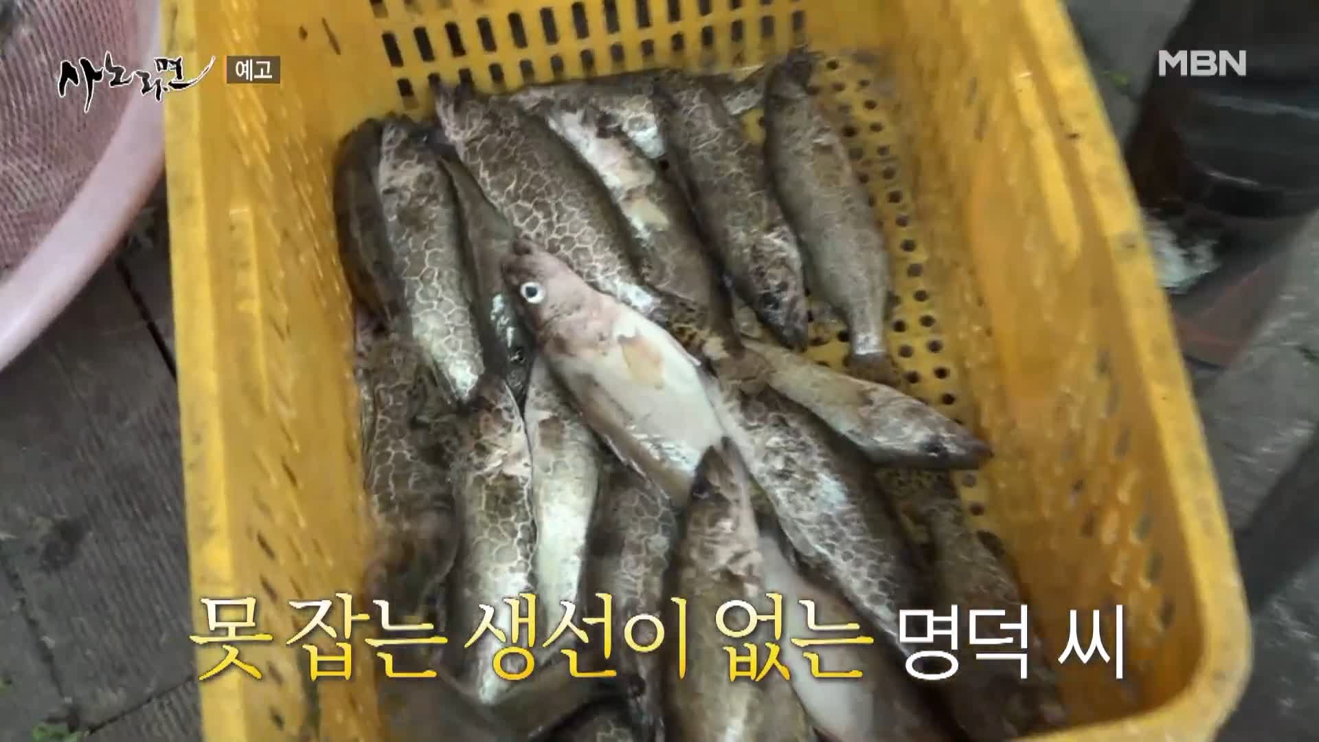 휴먼다큐 사노라면 544회 남한강 베테랑 어부 민물 매운탕, 쏘가리매운탕, 메기빠가매운탕, 붕어찜 맛있는 식당 경기 여주 맛집 소개 및 출연 다시보기