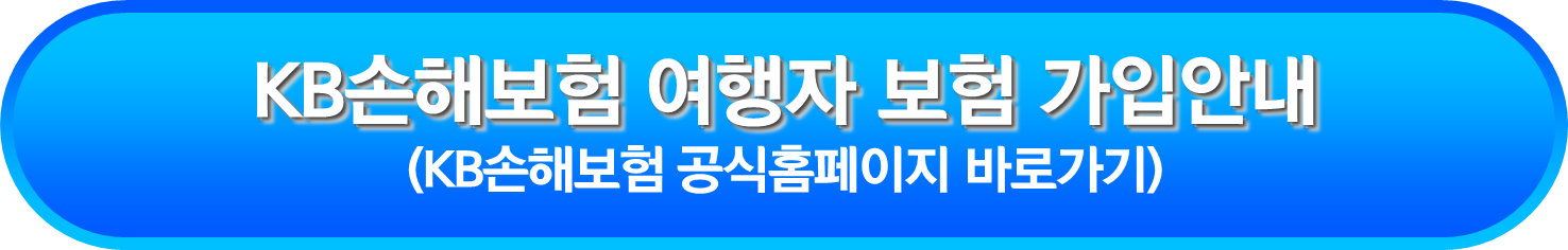 KB손해보험 여행자 보험 가입안내