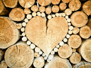 목공사-보존법-건조법