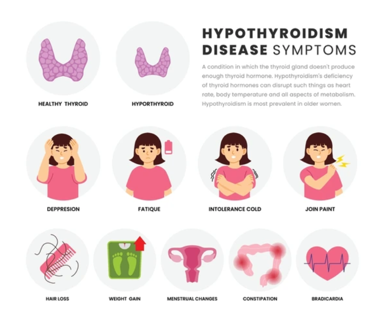 갑상선염의 다양한 증상을 표현한 인포그래픽