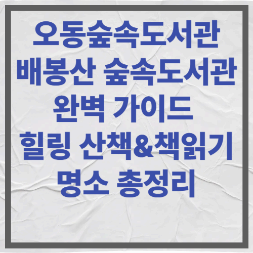 오동숲속도서관&middot;배봉산 숲속도서관 완벽 가이드 힐링 산책&amp;책읽기 명소 총정리