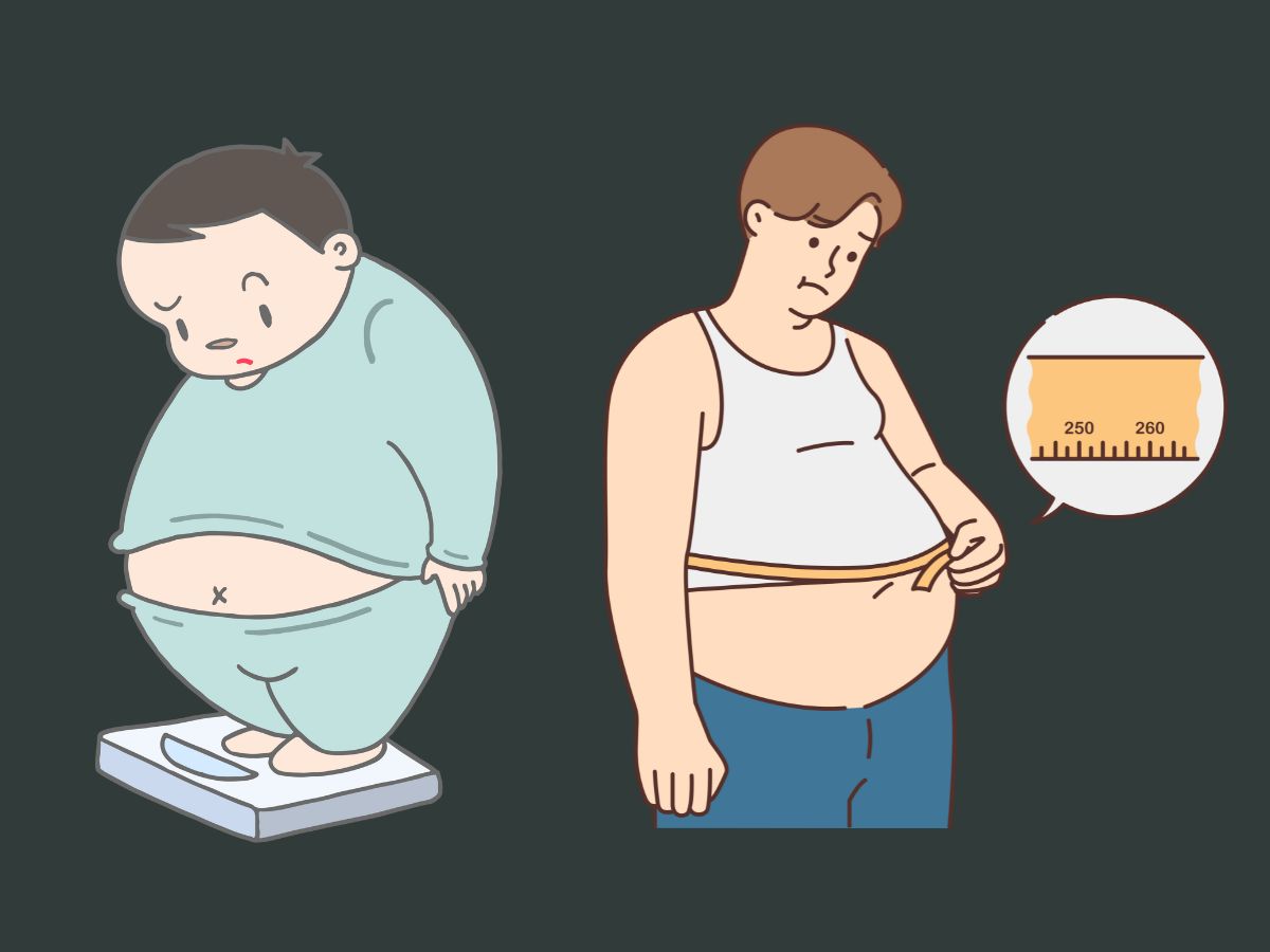 비만의 원인