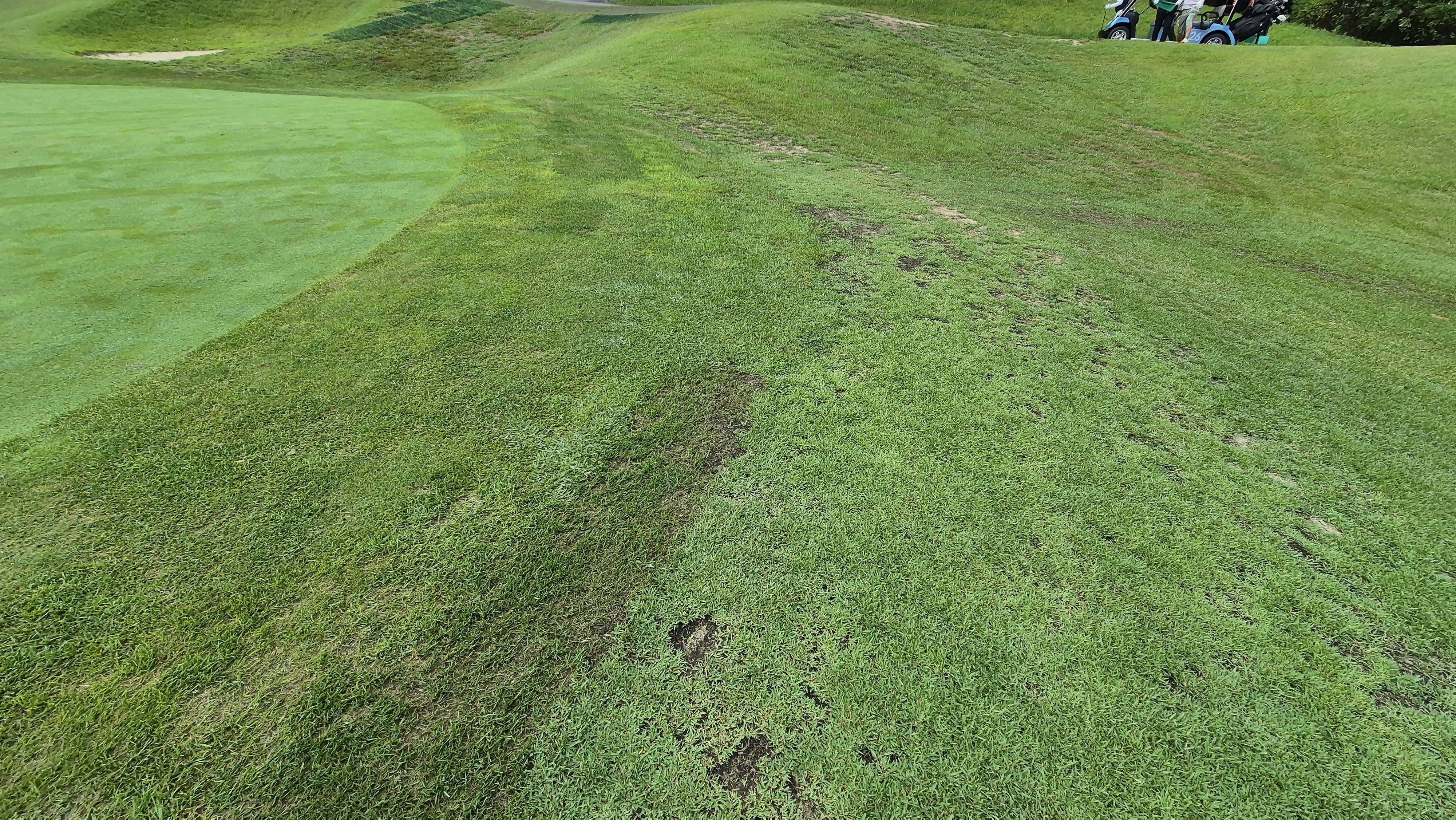 한림용인cc 다이아몬드-사파이어 코스 라운드 후기