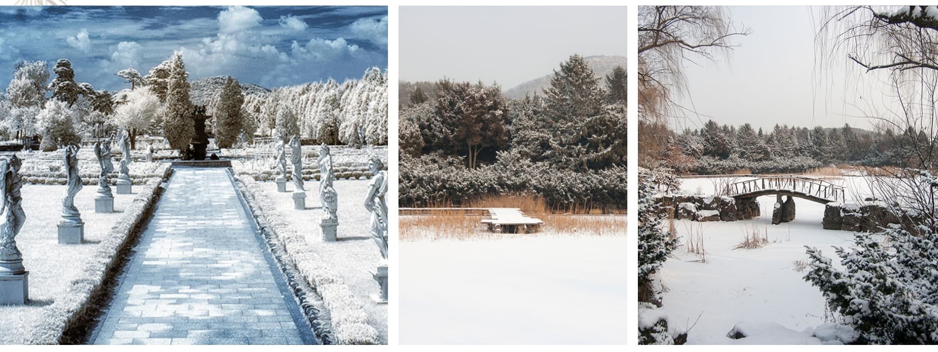 벽초지수목원 봄꽃축제❘온라인 예매 방법, 계절별 즐길 거리, 촬영지
