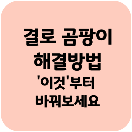 결로-곰팡이-해결방법-썸네일