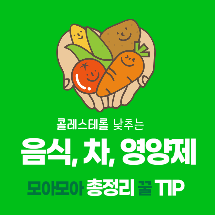 성인 콜레스테롤 낮추는 음식, 차 그리고 영양제 총정리 꿀팁 소개 설명