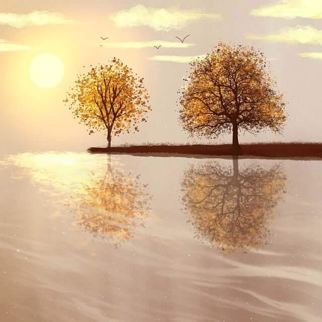 가까운 티월드 유심 무상 교체 방법