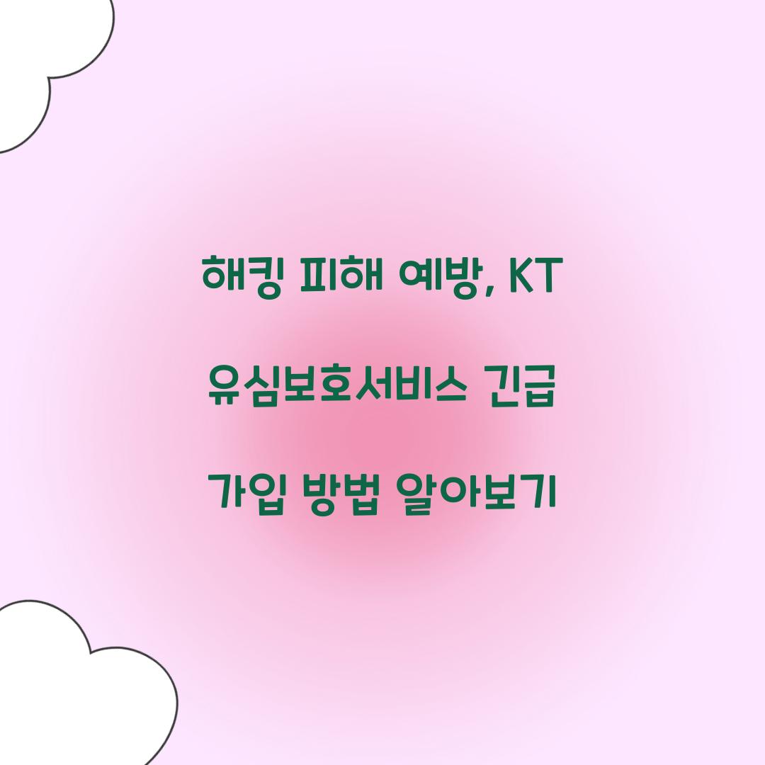 해킹 피해 예방: KT 유심보호서비스 긴급 가입 절차