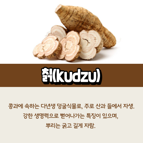 칡효능