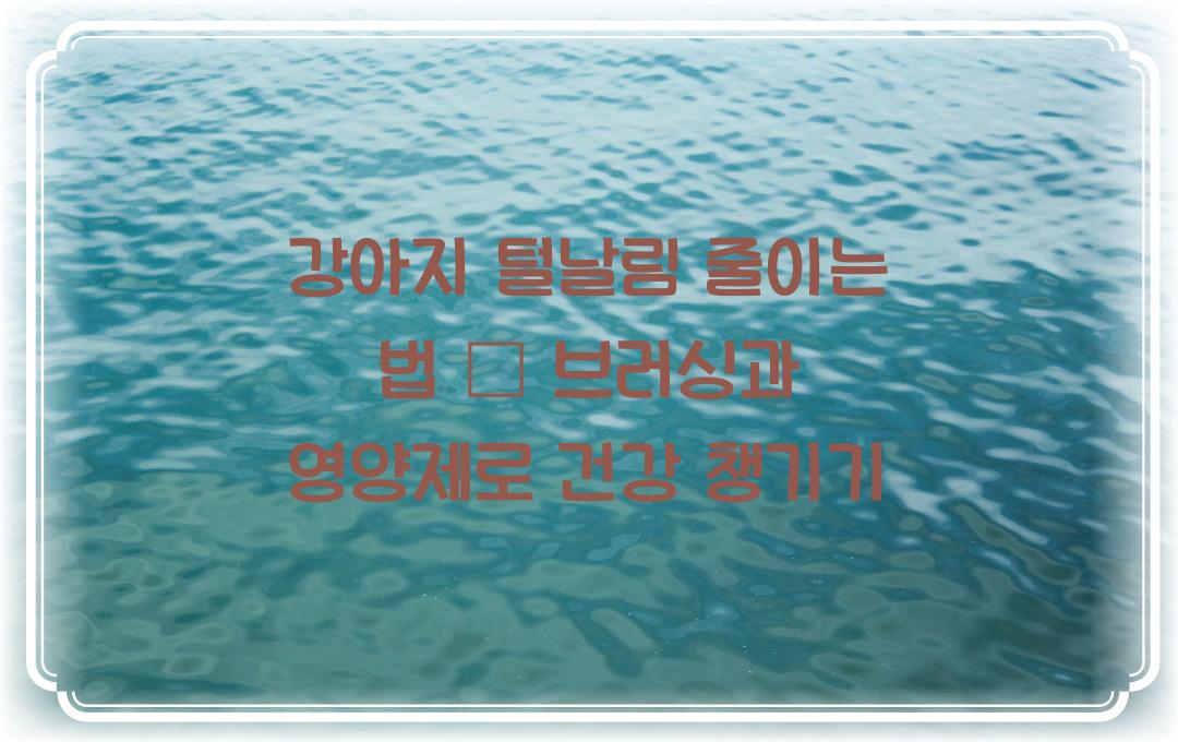 강아지 털날림 줄이는 법, 효과적인 브러싱 & 영양제 추천